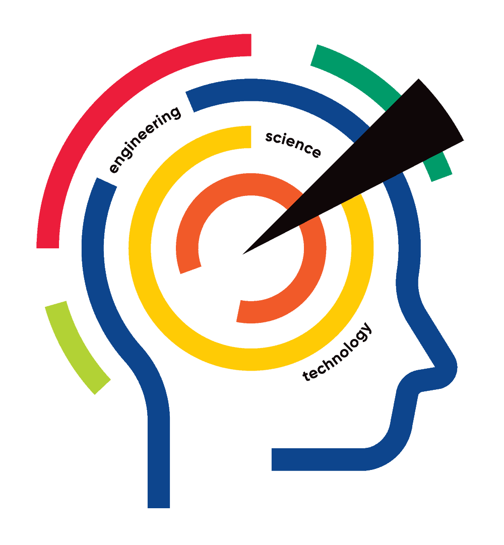 Network Effect brain motif