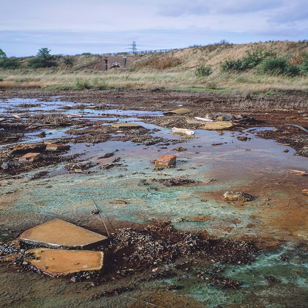 land showing signs of contamination