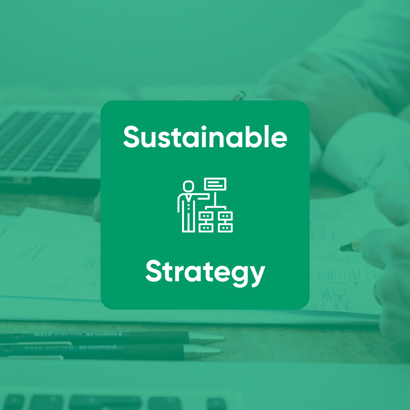 Sustainable strategy icon